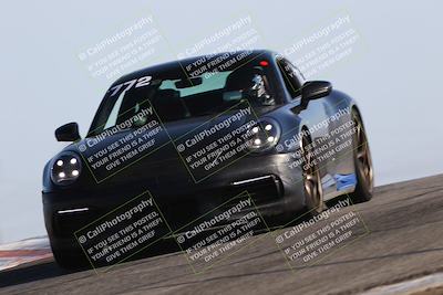 media/Jun-01-2025-PCA Golden Gate (Sun) [[9e4b10205a]]/Red/Session 1 (Grapevine)/